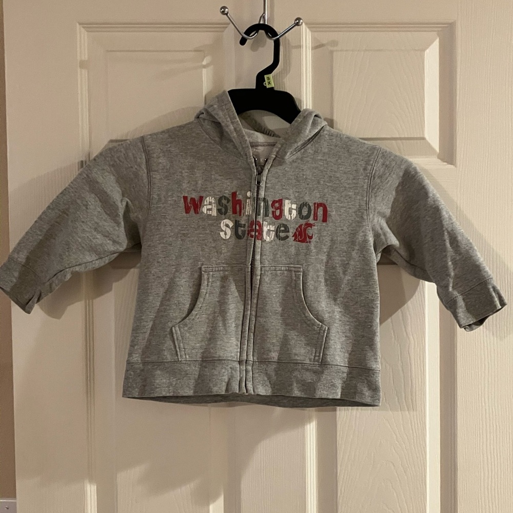 Kids Gray Washington State Hoodie